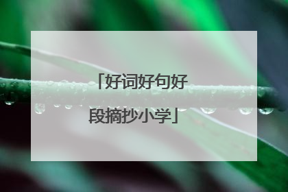 好词好句好段摘抄小学