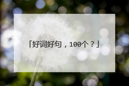 好词好句,100个?