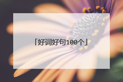 好词好句100个