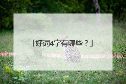 好词4字有哪些?
