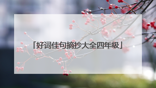 好词佳句摘抄大全四年级