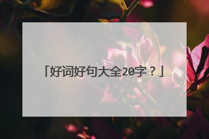 好词好句大全20字?
