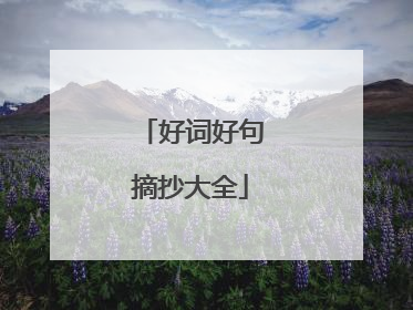 好词好句摘抄大全