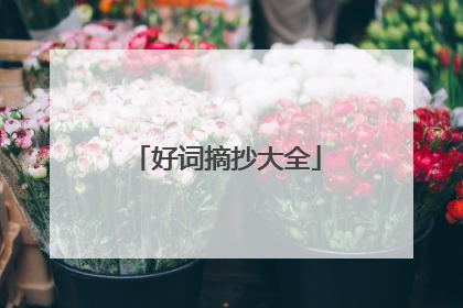 好词摘抄大全