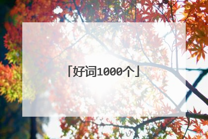 好词1000个