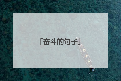 奋斗的句子