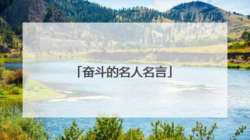 奋斗的名人名言