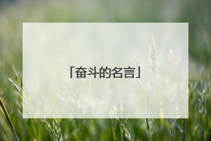 奋斗的名言
