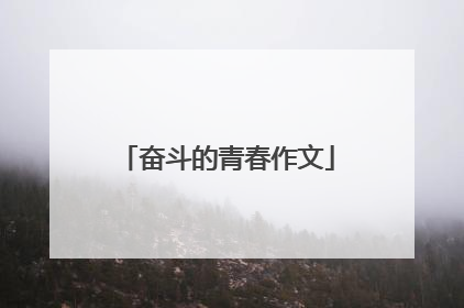 奋斗的青春作文