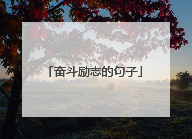 奋斗励志的句子