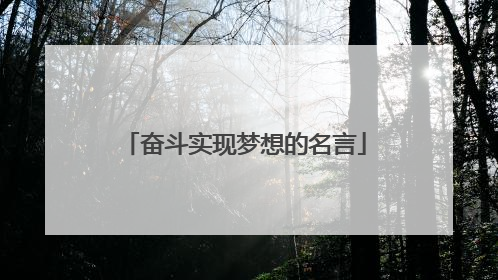 奋斗实现梦想的名言