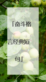 奋斗格言经典短句