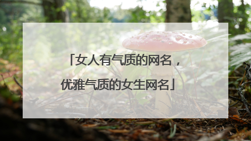 女人有气质的网名,优雅气质的女生网名