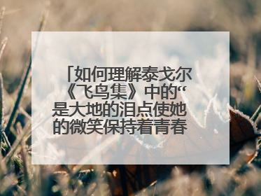 如何理解泰戈尔《飞鸟集》中的“是大地的泪点使她的微笑保持着青春不谢”？