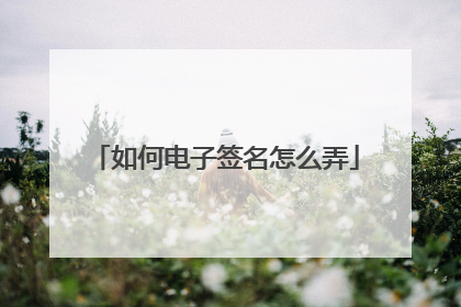 如何电子签名怎么弄