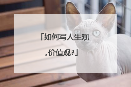 如何写人生观,价值观?