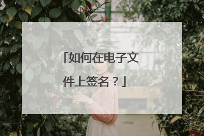 如何在电子文件上签名?