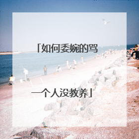 如何委婉的骂一个人没教养