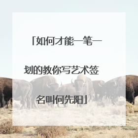 如何才能一笔一划的教你写艺术签名叫何先阳
