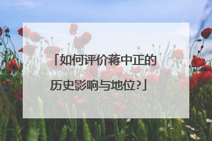 如何评价蒋中正的历史影响与地位?