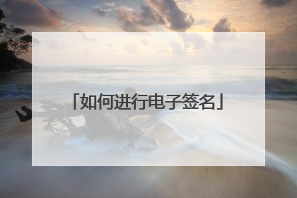 如何进行电子签名