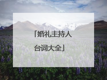 婚礼主持人台词大全