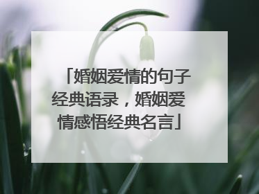 婚姻爱情的句子经典语录,婚姻爱情感悟经典名言