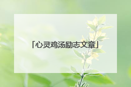 心灵鸡汤励志文章
