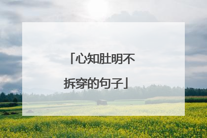 心知肚明不拆穿的句子