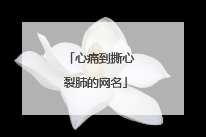 心痛到撕心裂肺的网名
