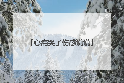 心痛哭了伤感说说