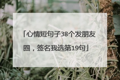 心情短句子38个发朋友圈,签名我选第19句