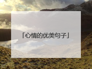 心情的优美句子