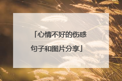 心情不好的伤感句子和图片分享