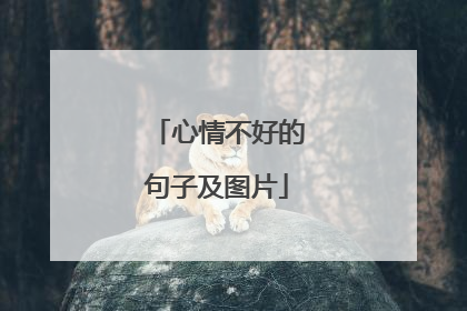 心情不好的句子及图片