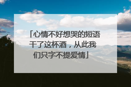 心情不好想哭的短语 干了这杯酒,从此我们只字不提爱情