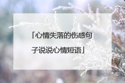 心情失落的伤感句子说说心情短语