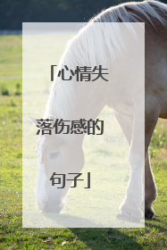 心情失落伤感的句子