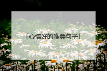 心情好的唯美句子