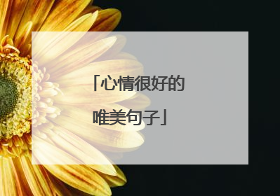心情很好的唯美句子