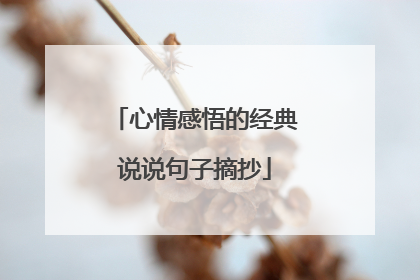 心情感悟的经典说说句子摘抄