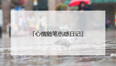 心情随笔伤感日记