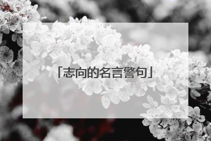 志向的名言警句
