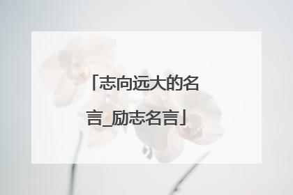志向远大的名言_励志名言