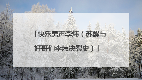 快乐男声李炜(苏醒与好哥们李炜决裂史)