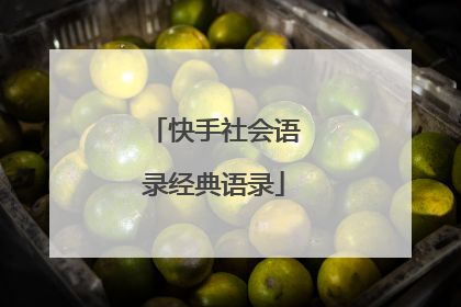 快手社会语录经典语录