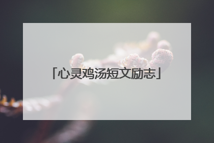 心灵鸡汤短文励志