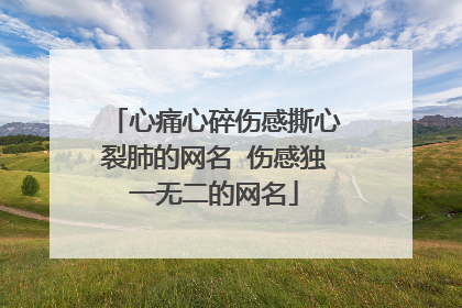心痛心碎伤感撕心裂肺的网名 伤感独一无二的网名