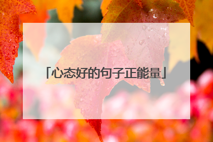心态好的句子正能量