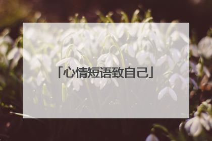 心情短语致自己